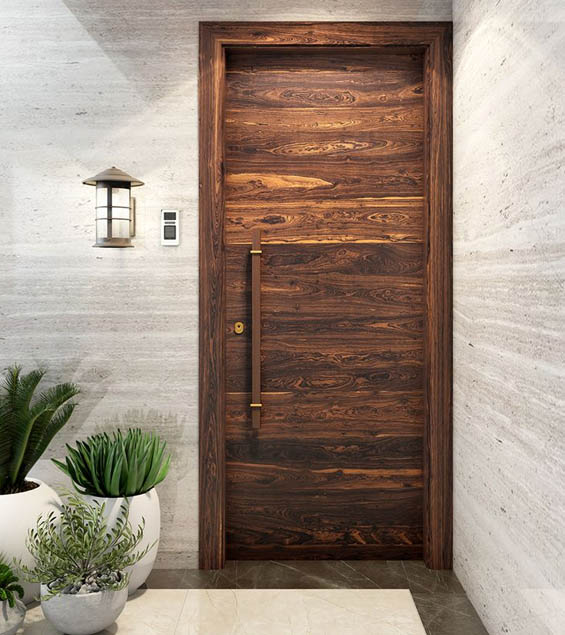 Veneer Door